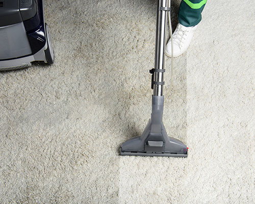 Carpet Cleaning Service Image